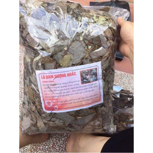 Dâm Dương Hoắc