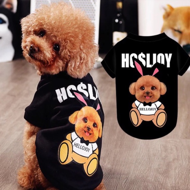 ÁO NỈ HÌNH POODLE CHO CÚN CƯNG