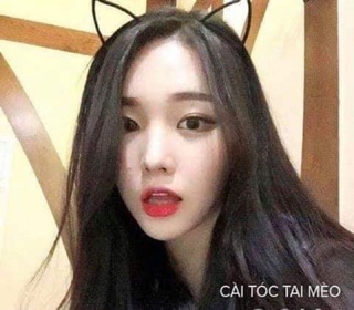 Bờm tóc tai mèo quấn nhung