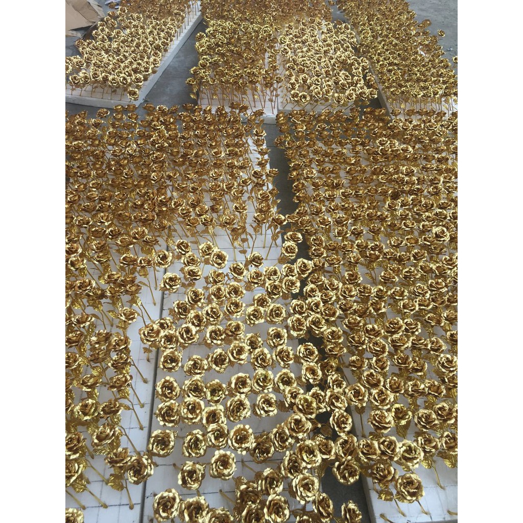 Hoa Hồng màu vàng