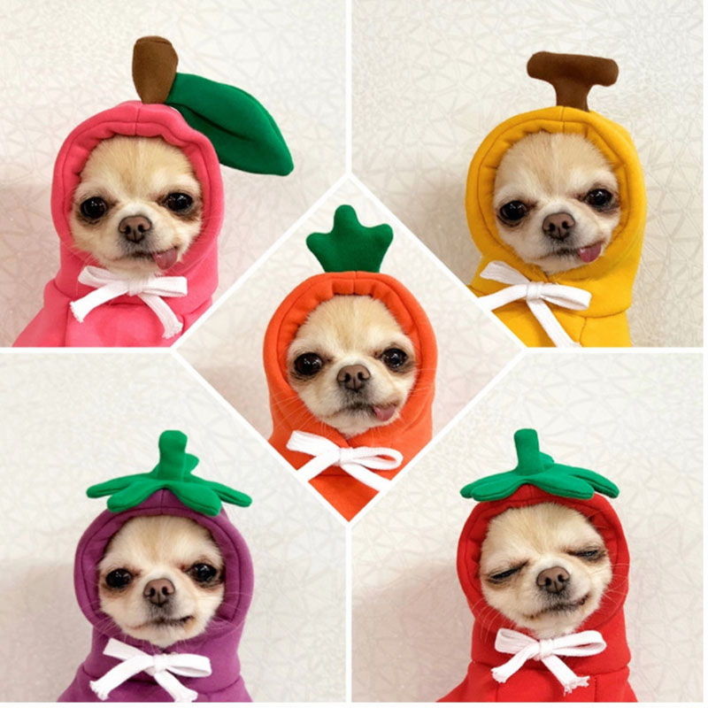 New Halloween Dress Up Creative Pet Clothing Fruit Shape Dog Cat Sweater Autumn and Winter Soft and Comfortable Warm Fashion