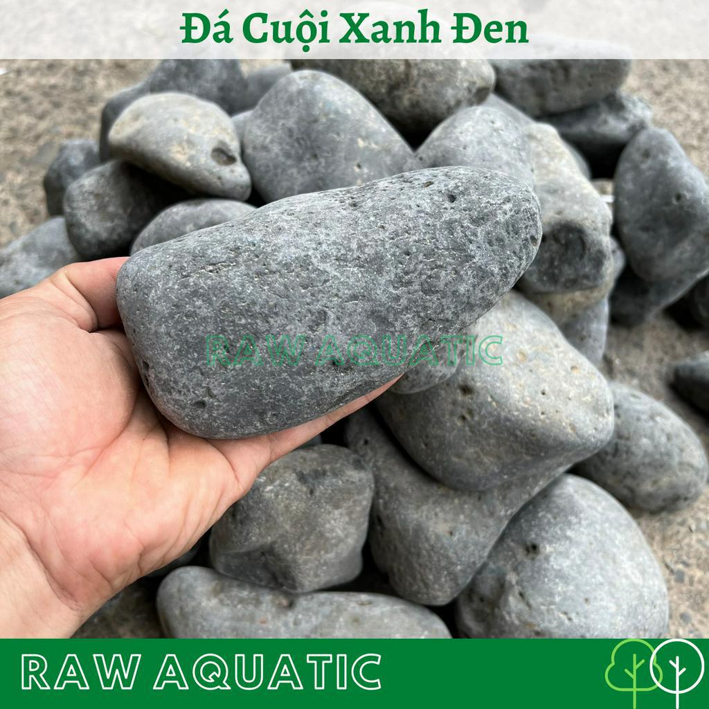 Đá Cuội Xanh Đen Trang Trí, Setup Bể Cá Cảnh, Bể Thủy Sinh
