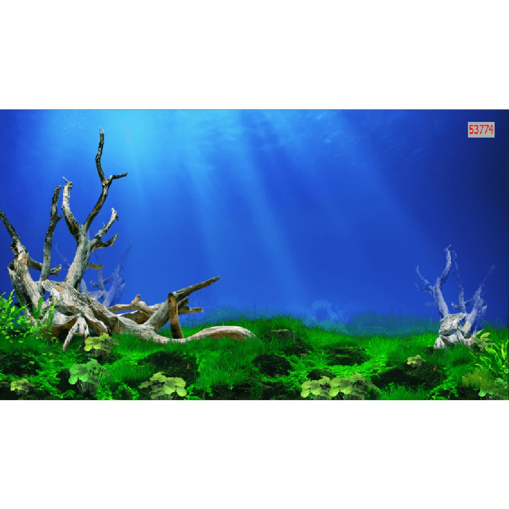 Tranh dán bể cá 3d nhiều kích thước, tích hợp sẵn keo,774
