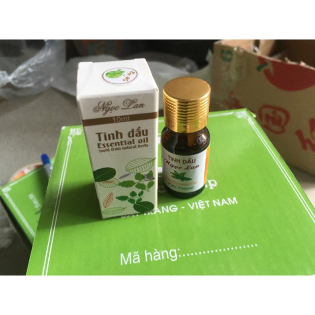 Combo tinh dầu xông đèn