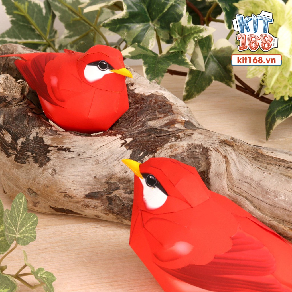 Mô hình giấy động vật Chim Red Warbler
