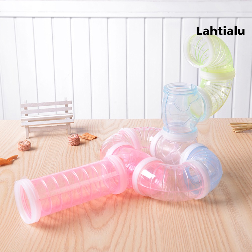 Đường Hầm Trong Suốt Dành Cho Chuột Hamster Leo Trèo
