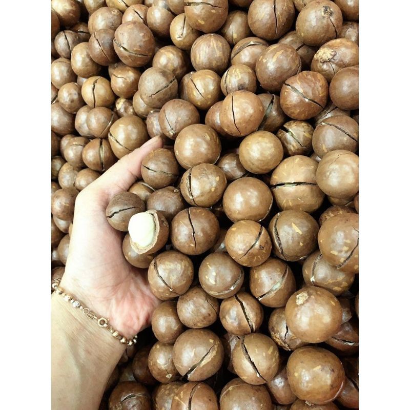 macca nguyên vỏ 500gr