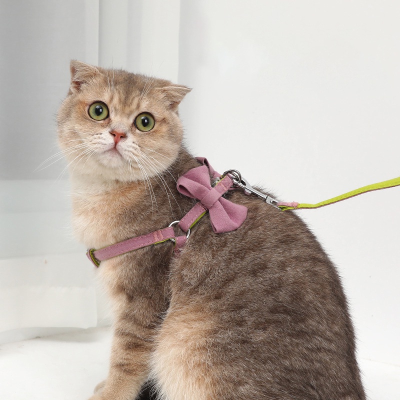 Bộ Dây Đai 4 Màu Bow Leash Harness Set Cho Mèo Nhỏ Chó Mèo Dây Buộc Nơ Thời Trang Cho Chó Đi Bộ Dây Xích Cho Thú Cưng Phụ Kiện Cho Mèo Con Chihuahua