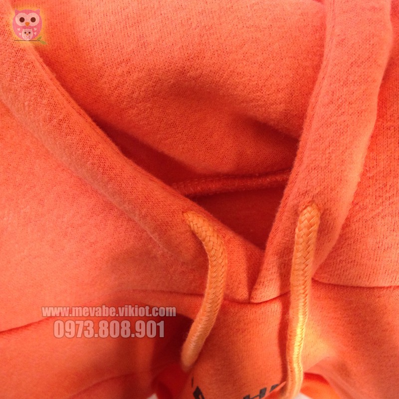 Áo nỉ có mũ (Hoodie) cho bé trai