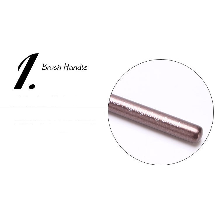 Cọ đánh màu mắt chuyên nghiệp ZOEY Sena Beauty