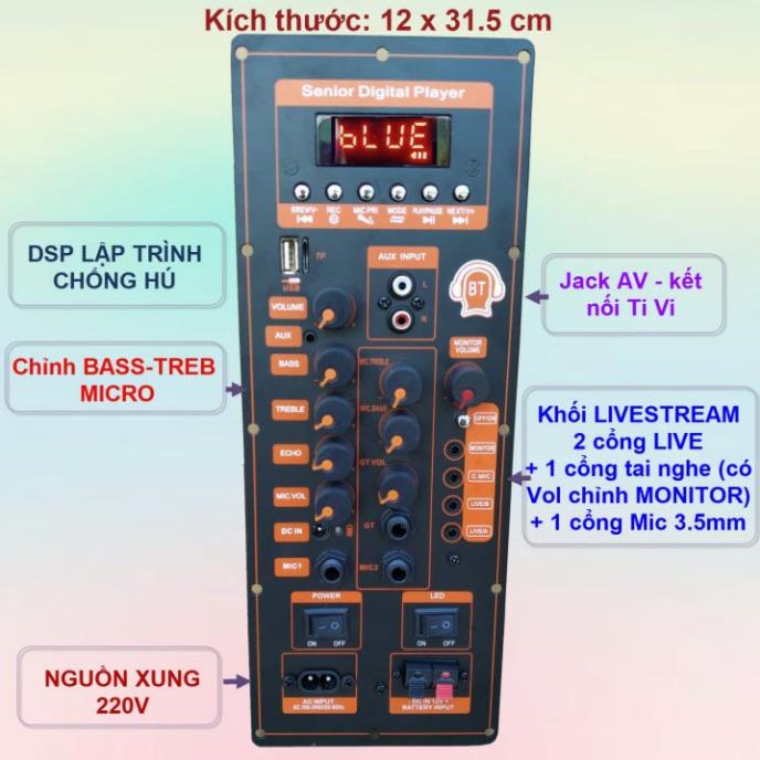 Mạch loa kéo TPA3116D2 150W LIVESTREAM - DSP lập trình chống hú loa kéo 4 – 3 tấc ĐƠN hoặc 3 – 2.5 tấc ĐÔI