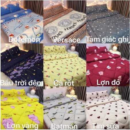 Chăn đông siêu nhẹ trần bông cotton poly chát chọn mẫu