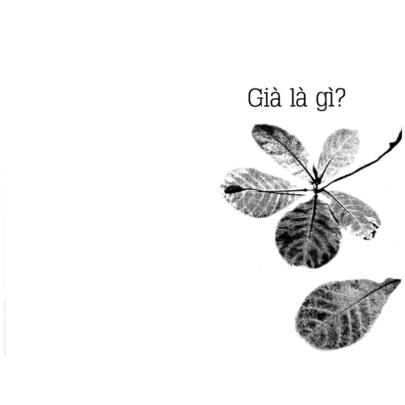 Sách già ơi chào bạn