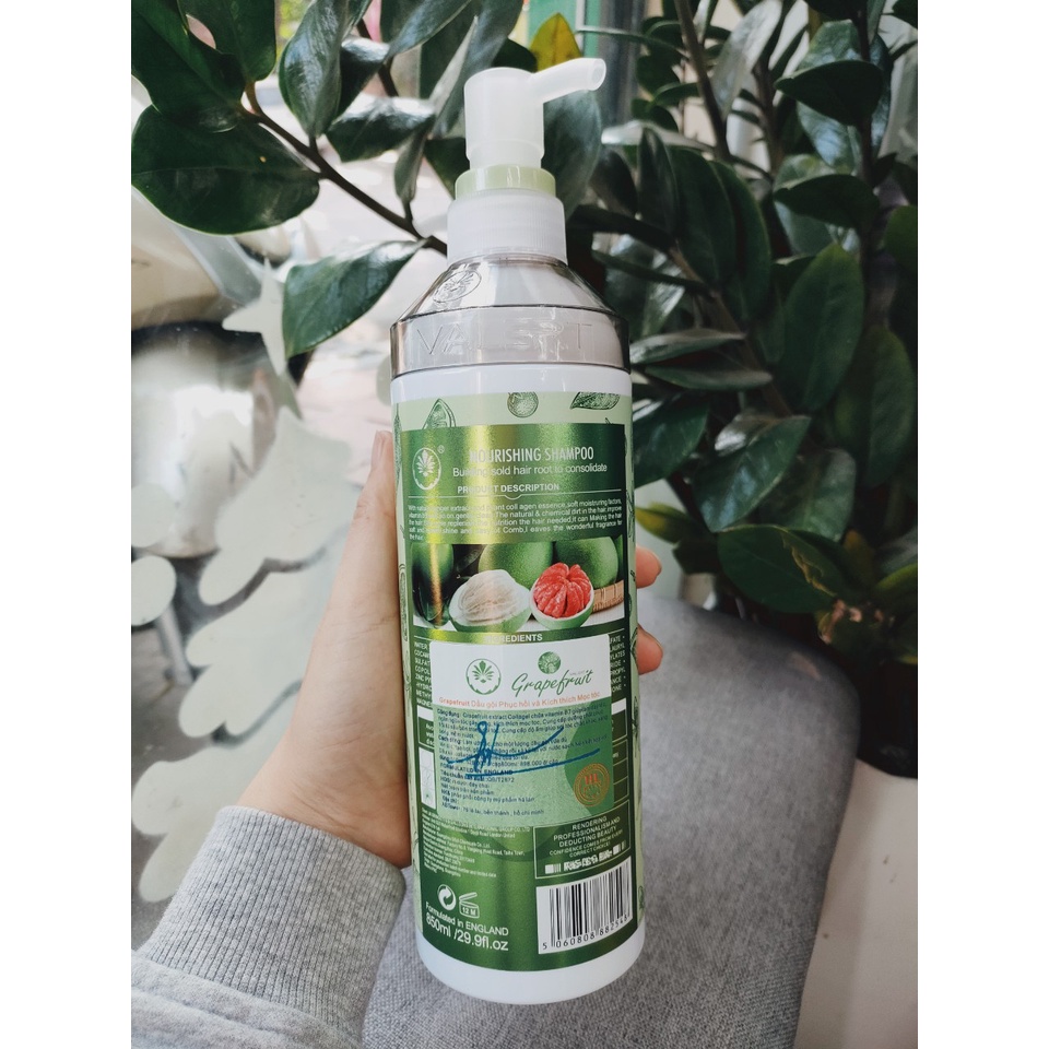 Mẫu mới nhất Dầu gội xả Bưởi Grapefruit Valert phục hồi và mọc tóc 850ml*2