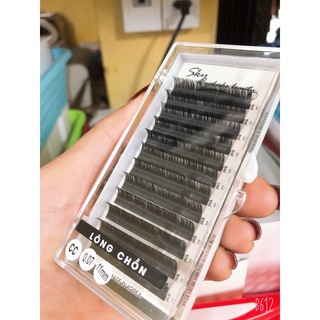 1 khay mi lông chồn độ cong D