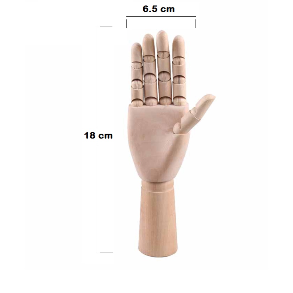 [LỖ STORE]  Mô hình gỗ Giorgione