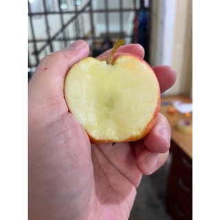 Táo Túi Nam Phi - 3kg (Giao Trong Ngày )