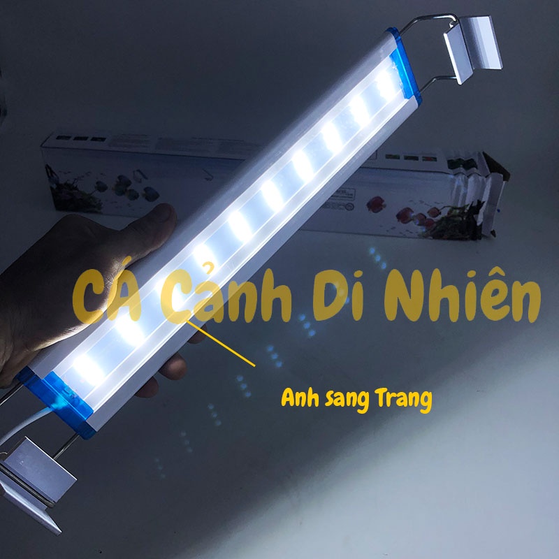 Đèn LED máng kẹp thành hồ cá 50-60 cm 18W 2 dãy màu TRẮNG - ĐỔI MÀU 36 LED P500