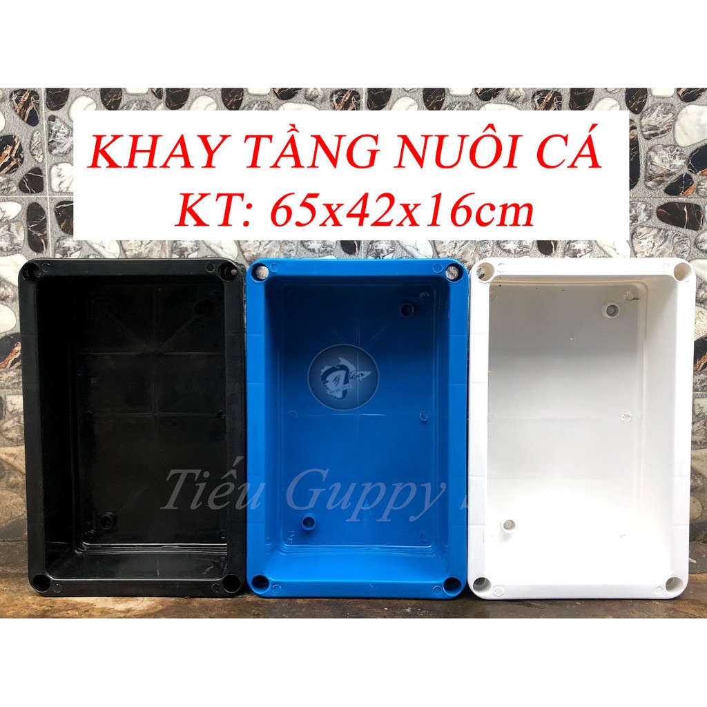 Khay tầng nuôi cá (lẻ 1 cái) KT: 65x42x16cm ( giao hỏa tốc Sài Gòn)