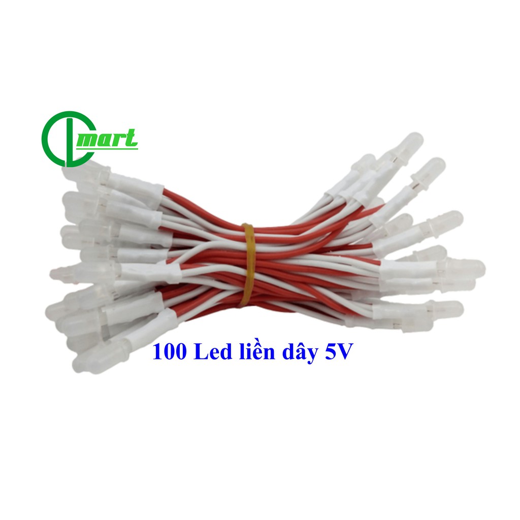 100 LED ruồi 5V liền dây (trắng, đỏ, xanh lá, xanh dương, vàng, hồng)