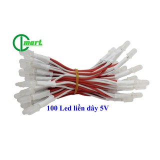 100 LED ruồi 5V liền dây_Tốt (trắng, đỏ, xanh lá, xanh dương, vàng, hồng)