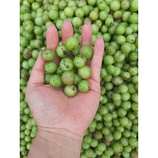 combo 5kg quả me rừng (amla)