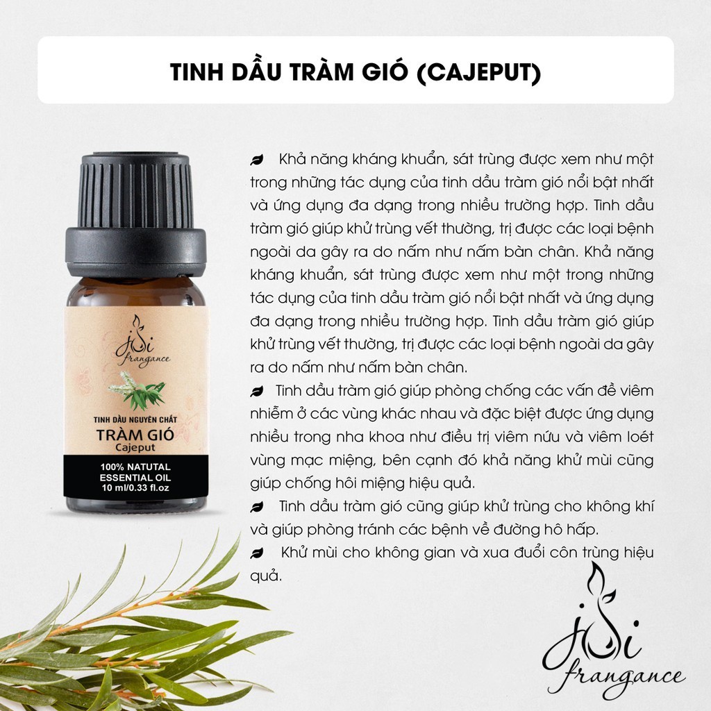 Tinh dầu Tràm Gió nguyên chất - Lọ 10 ml | Kiểm nghiệm GC-MS và COA chuẩn USDA