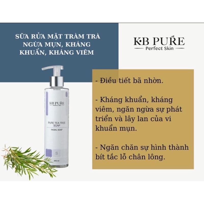 GEL RỬA MẶT TINH CHẤT TRÀM TRÀ - KB PURE TEA TREE SOAP