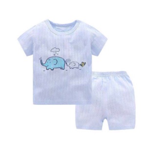 Combo bộ cotton giấy