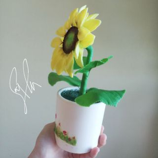 Hoa hướng dương đất sét