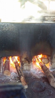 Cao hà thủ ô đỏ 100g hỗ trợ tóc bạc sớm thương hiệu THIÊN PHÚC