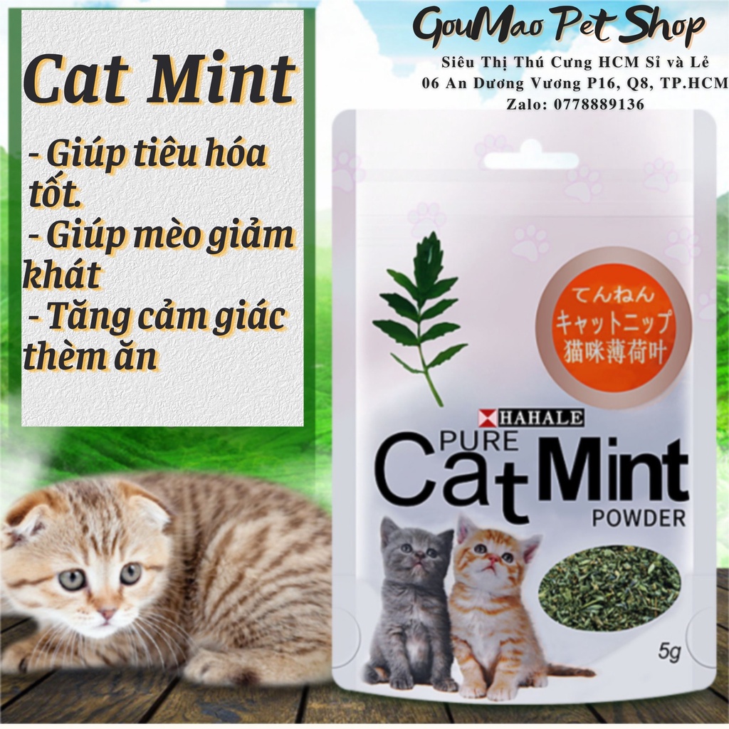 Cat Mint / Cattrip / cỏ dành cho mèo