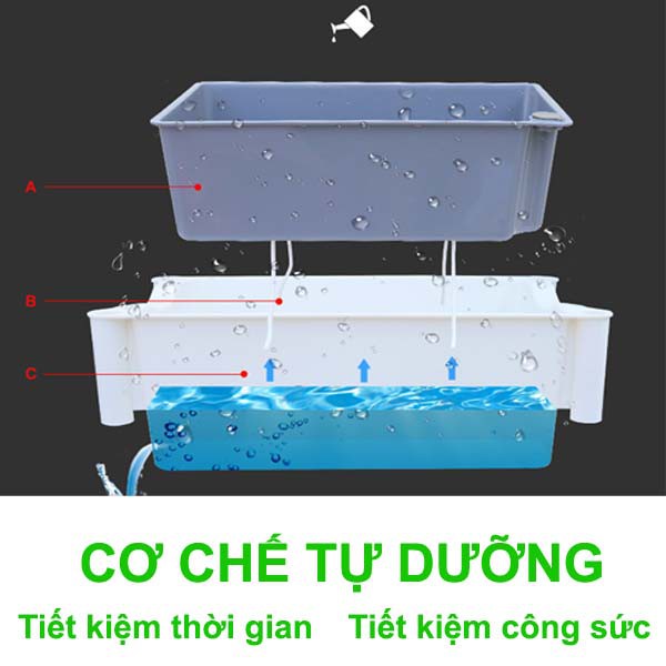 Chậu trồng cây thông minh 3 tầng cho ban công Chậu cây 2 lớp tự dưỡng cho ban công chung cư