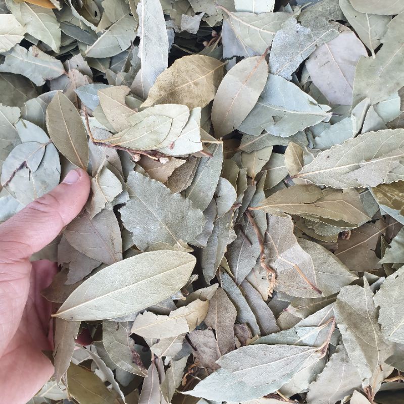 Lá nguyệt quế khô 1kg