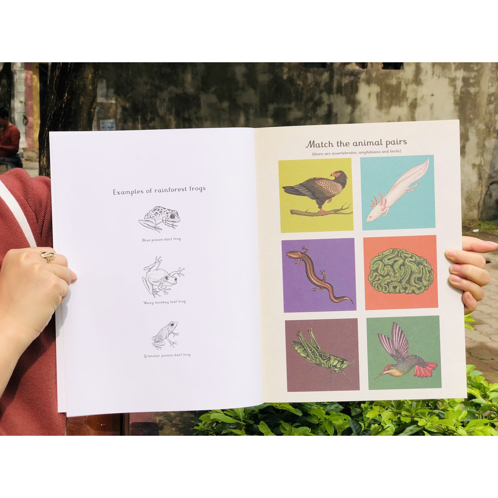 Animalium activity book - Sách hoạt động về động vật