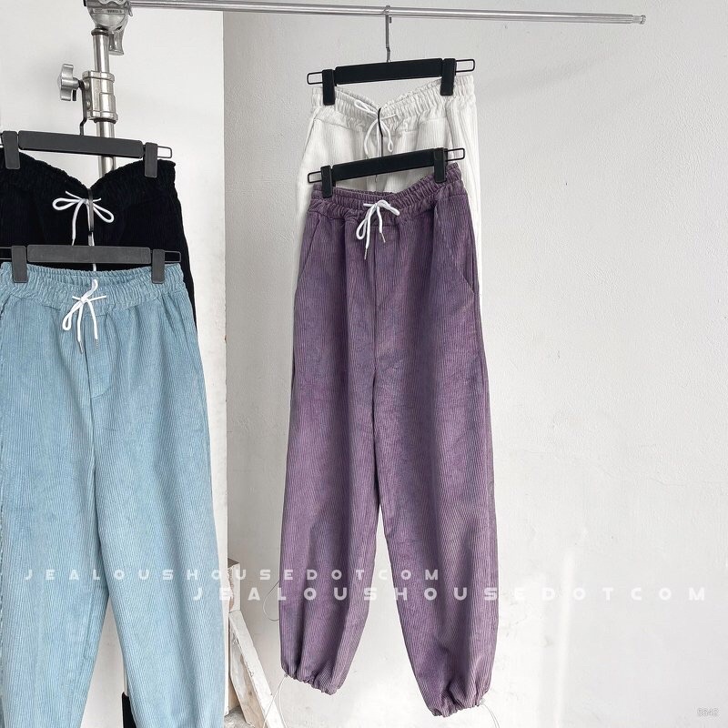 Quần vải nữ, quần jogger nữ gấu dây rút Boom 5642