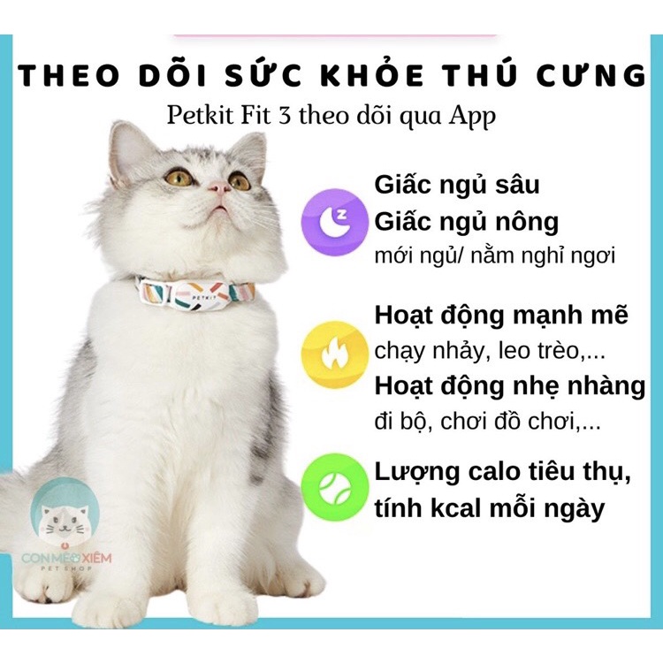 Vòng cổ Petkit cho chó mèo theo dõi sức khỏe Fit 3  bảo hành 12 tháng