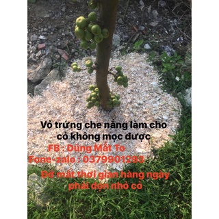 vỏ trứng gà 5kg