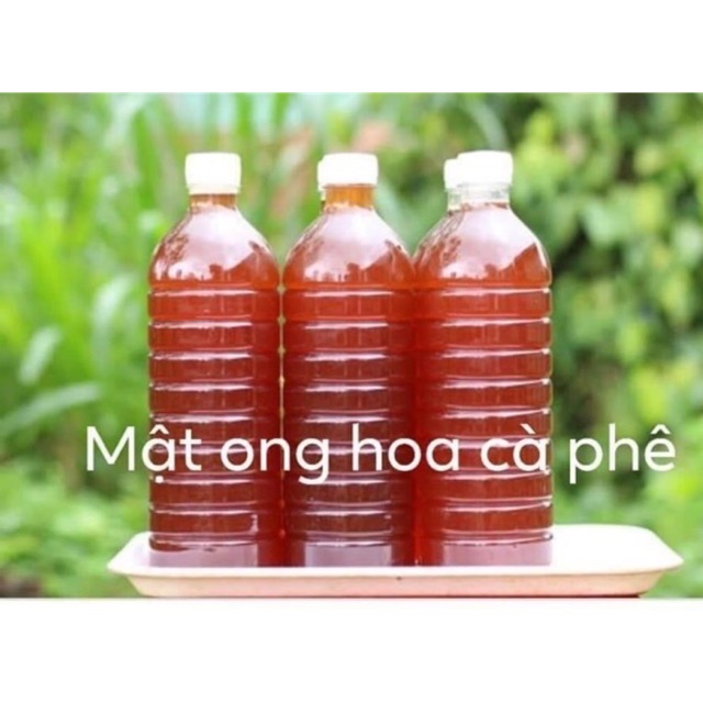 Cam kết 1 Lít mật ong Hoa Cafe 100% nguyên chất