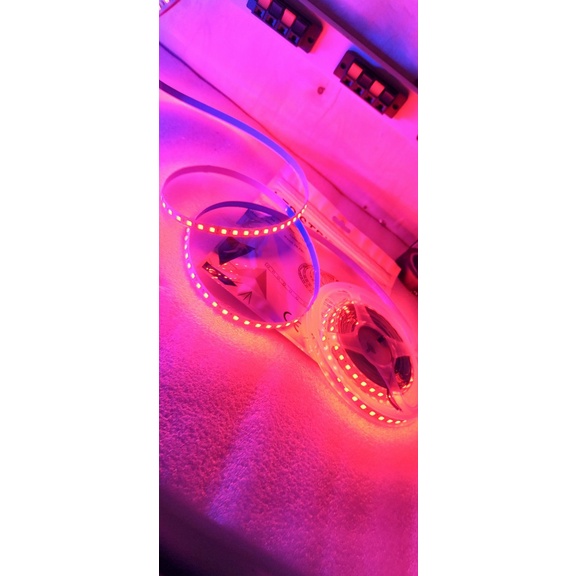 Led dây dán 120b/m cuộn 5m ánh sáng xanh lá,xanh dương,đỏ siêu sáng có keo dính 2 mặt dễ sử dụng.
