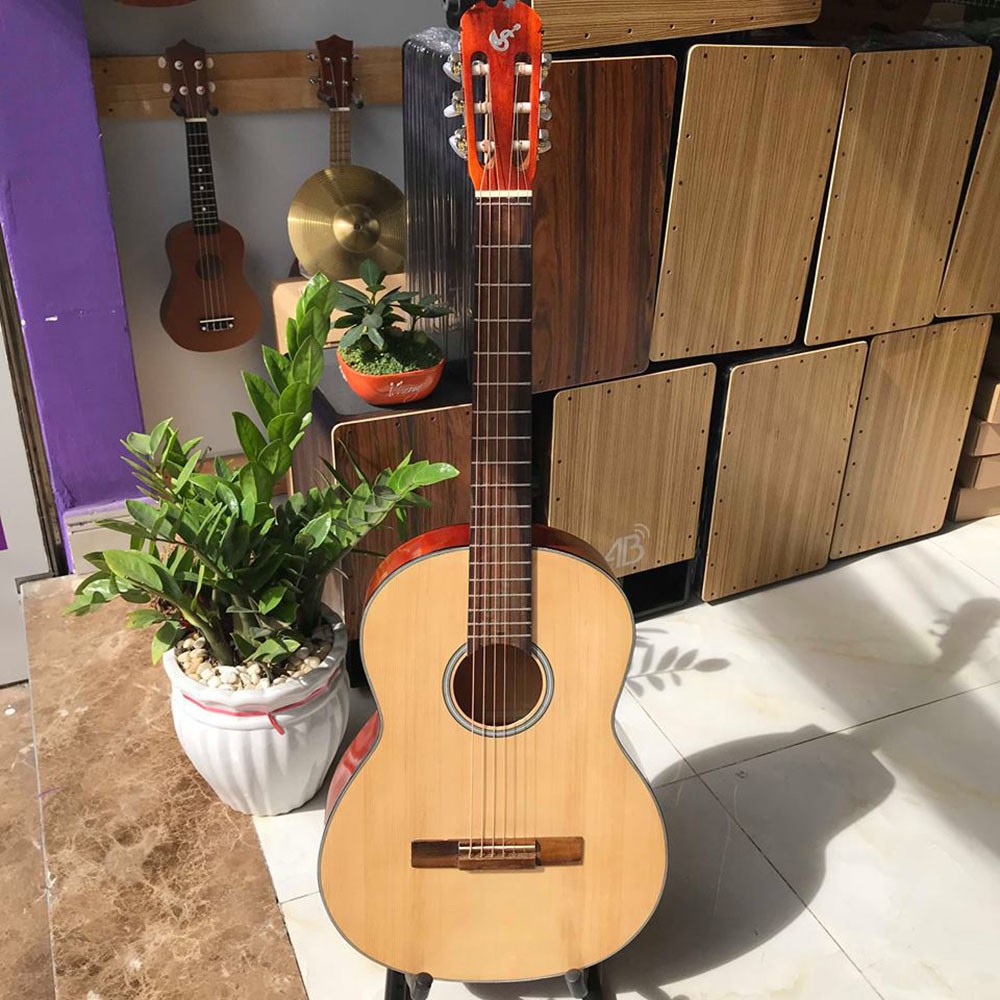 Đàn guitar classic có ty chống cong - Đàn tập chơi không đau tay