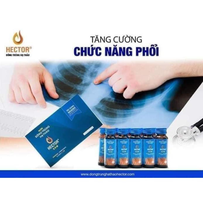 Nước uống Đông trùng hạ thảo Hector Sâm - tăng lực nhanh, phục hồi sức khoẻ, giải độc gan, thận