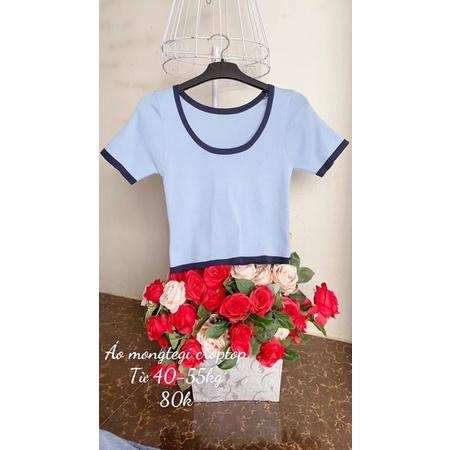 Áo mongtegi dáng croptop