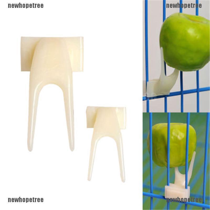 Set 2 Nĩa Ăn Trái Cây Bằng Nhựa Cho Chim Cảnh