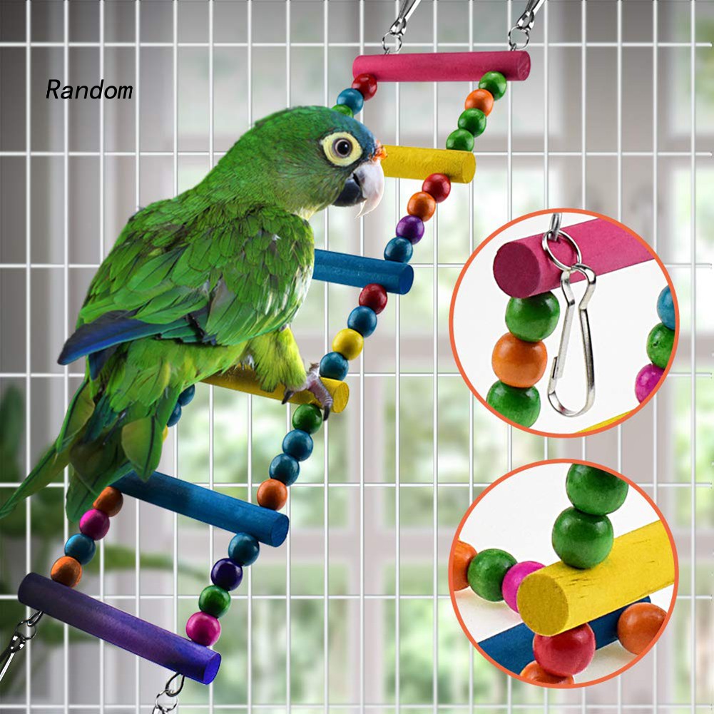 Bộ 6 đồ chơi gặm kiểu dáng khác nhau dành cho chim vẹt