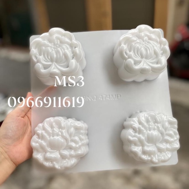 2 vỉ khuôn trung thu rau câu MS3