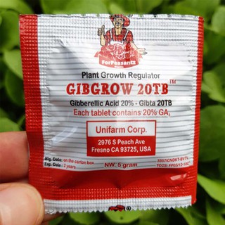 VIÊN SỦI GA3: KÍCH THÍCH SINH TRƯỞNG CỦA MỸ