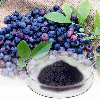 NƯỚC CHIẾT XUẤT VIỆT QUẤT HỒNG SÂM HANSUSAM HANSUSAM RED GINSENG BLUEBERRY