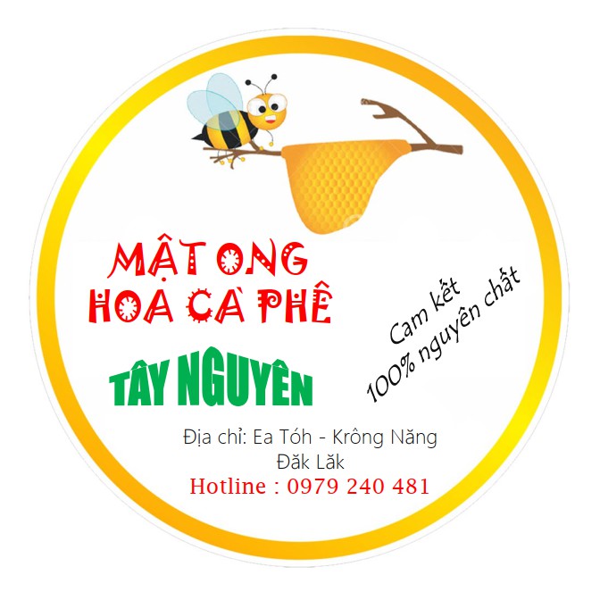 [0.5 Lít -100% Nguyên Chất] Mật Ong hoa Cà Phê - Loại đặc biệt