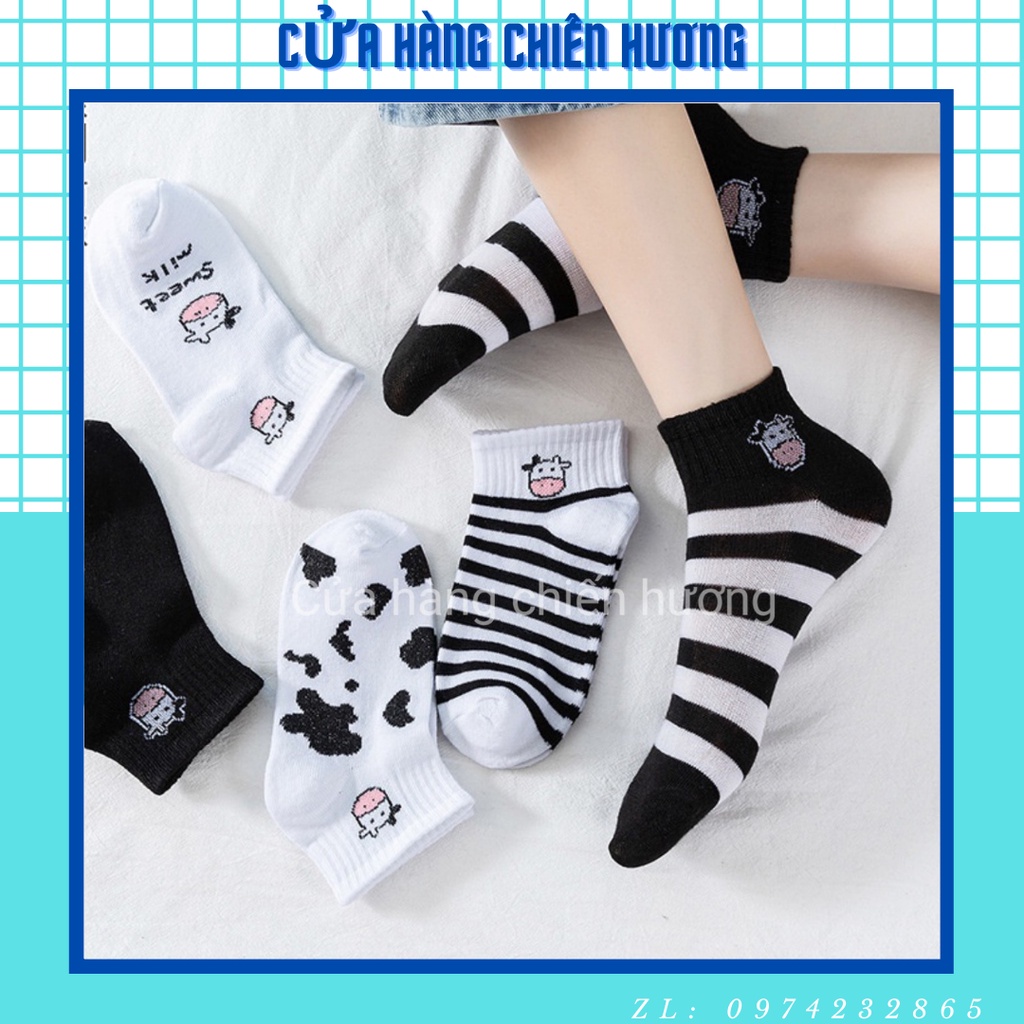 Tất bò sữa tất cổ ngắn hàn quốc cực chất
